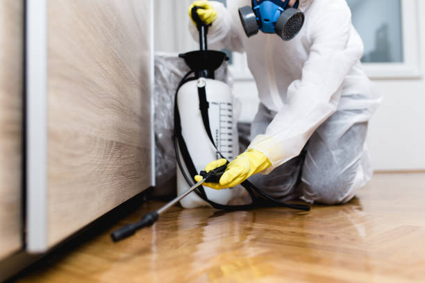 Best Best Pest Control Near Me  in Sans Souci, SC