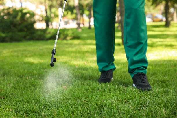 Best Flea Control Services  in Sans Souci, SC