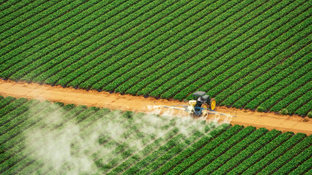 Best Best Pest Control Companies  in Sans Souci, SC