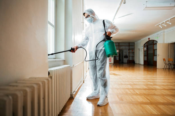 Best Local Pest Control Services  in Sans Souci, SC