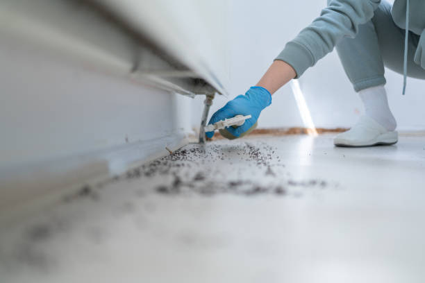 Best Cockroach Control Services  in Sans Souci, SC